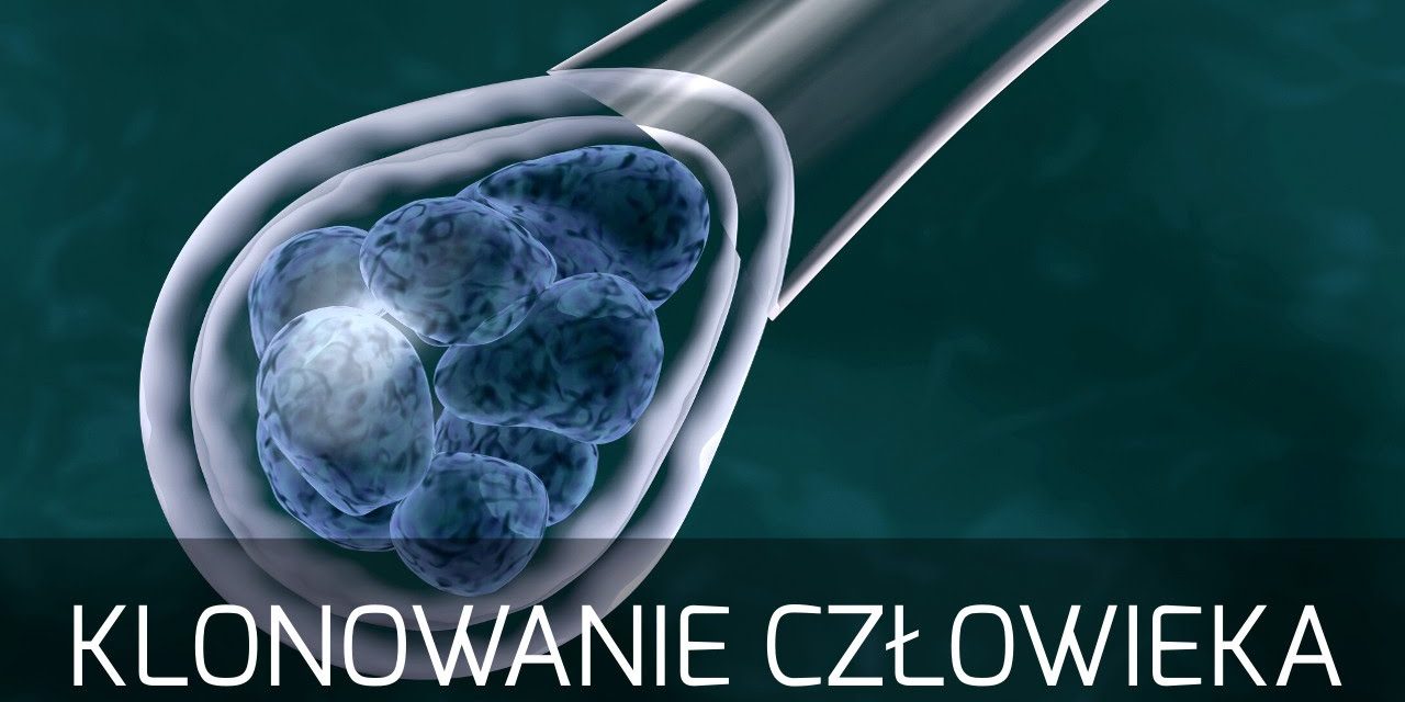 Co to jest in vitro? – prof. Stanisław Cebrat